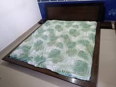 Habbit Floor Bed