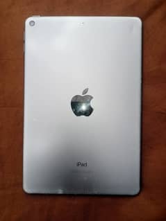 Ipad Mini 5