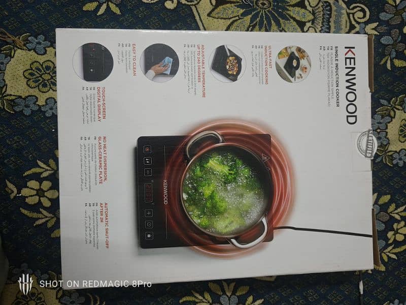 Induction stove/cholha 6