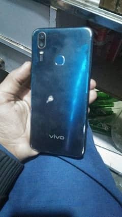 vivo