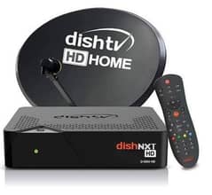 dish