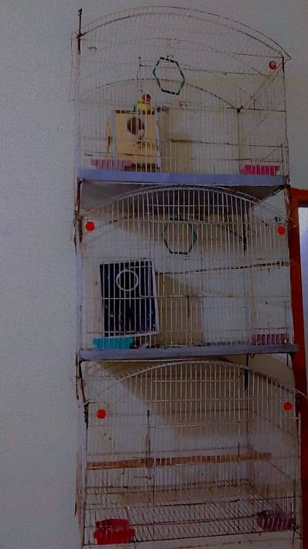 3 attached cages for animals, parrots 0