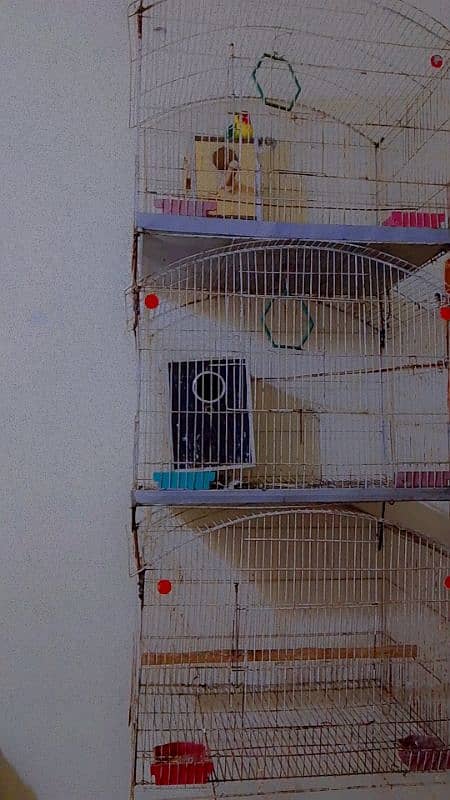 3 attached cages for animals, parrots 1