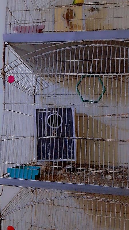 3 attached cages for animals, parrots 2