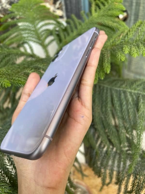 orignal iphone11 purple color 64gb with box non pta 2