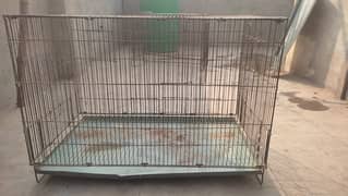 cage 2.5 by 1.5 by 1.5 urgent sale