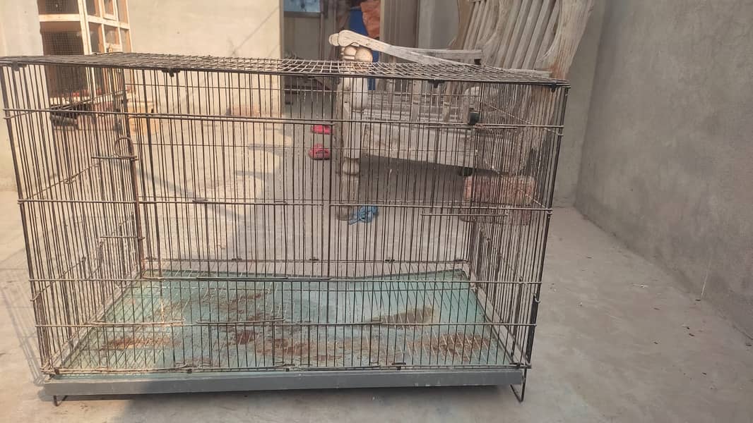 cage 2.5 by 1.5 by 1.5 urgent sale 1