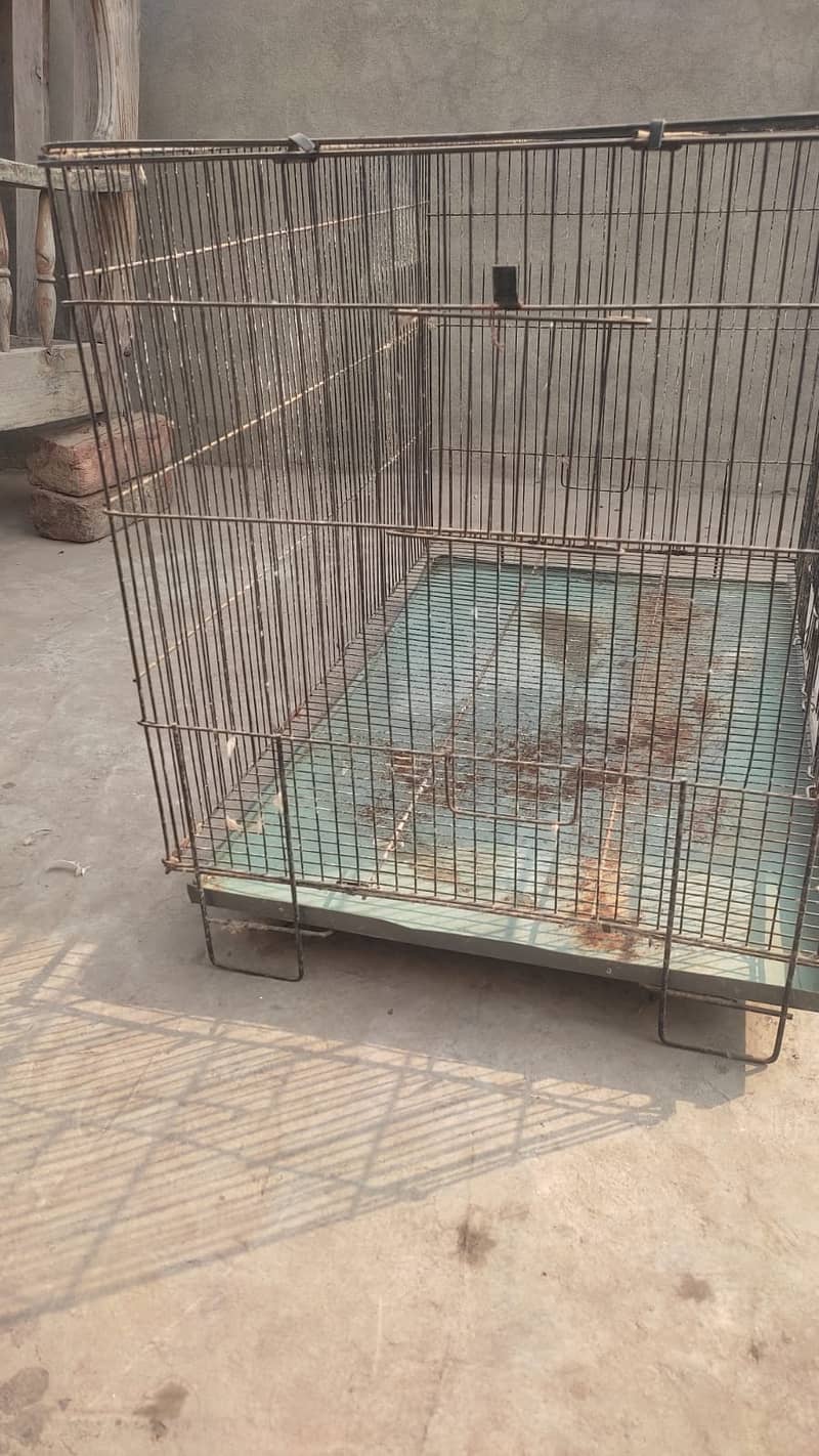 cage 2.5 by 1.5 by 1.5 urgent sale 2