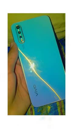 vivo