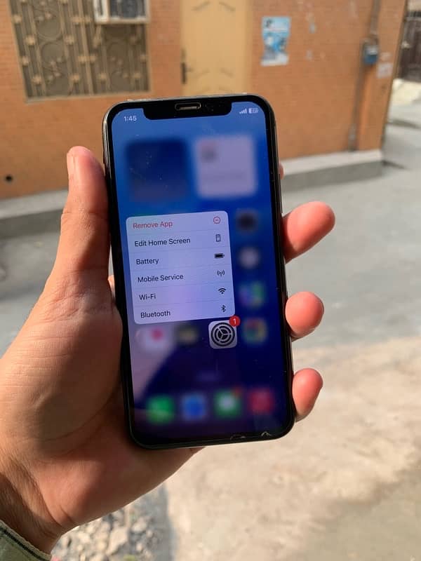 iPhone XS 256 Gb 2