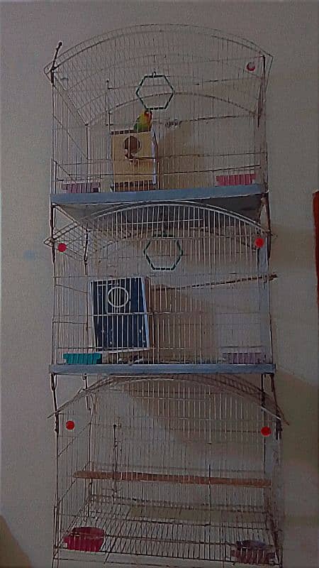 3 attached cages for animals, parrots 3