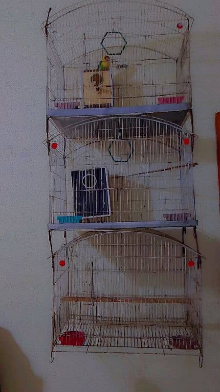 3 attached cages for animals, parrots 4