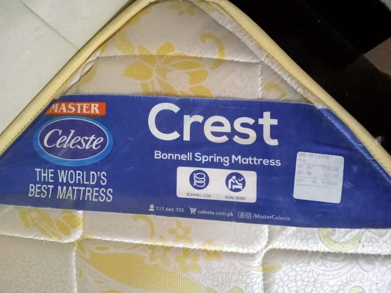 Slightly used MASTER CELESTE SPRING foam available for sale 1