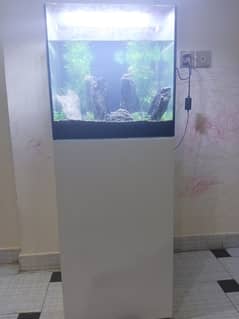 Fish aquarium