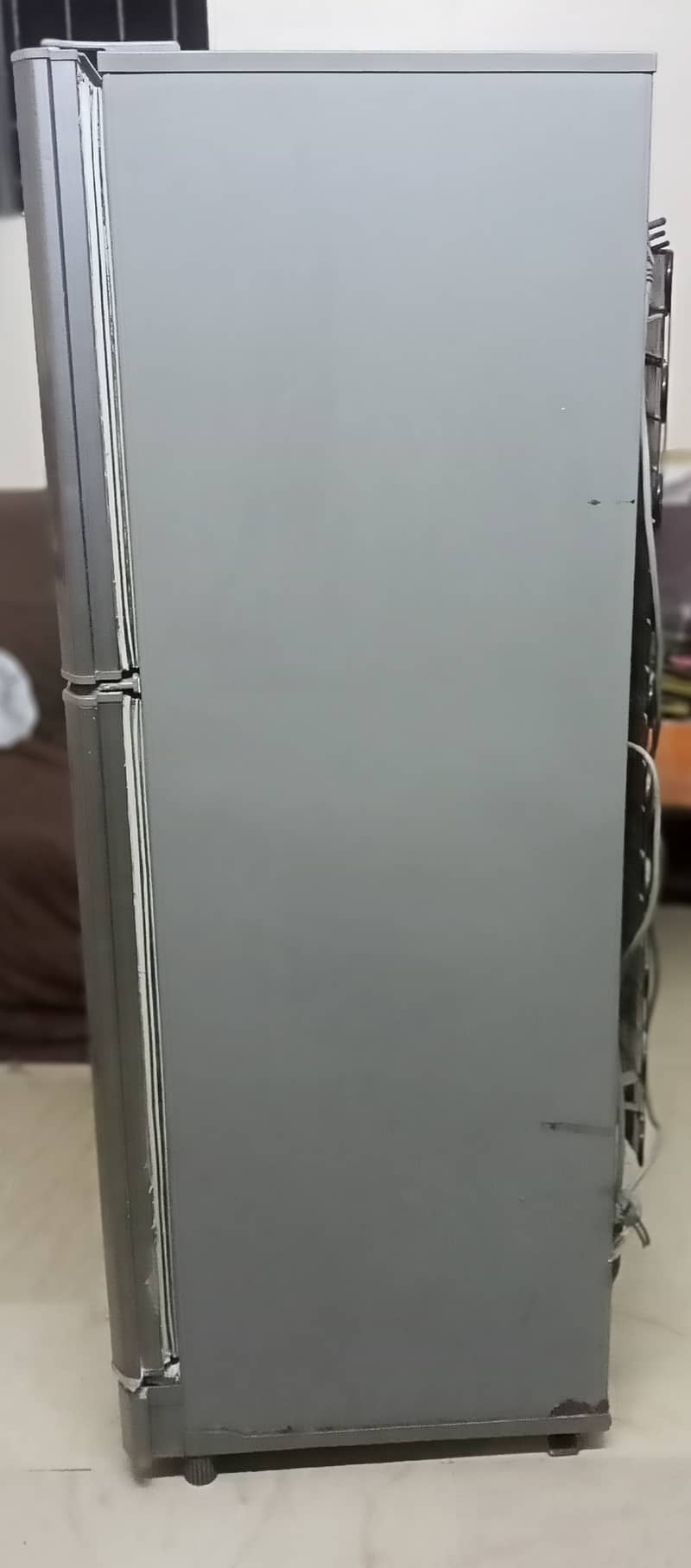 Pel Medium Refrigerator 1