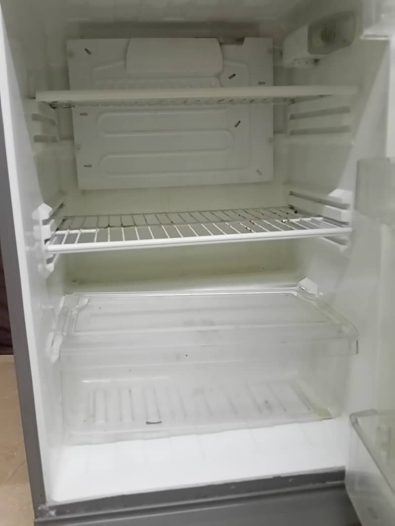 Pel Medium Refrigerator 5