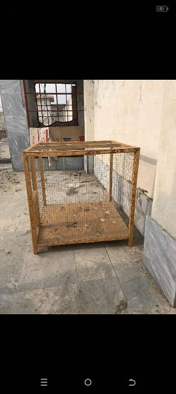 cage for chickens 1