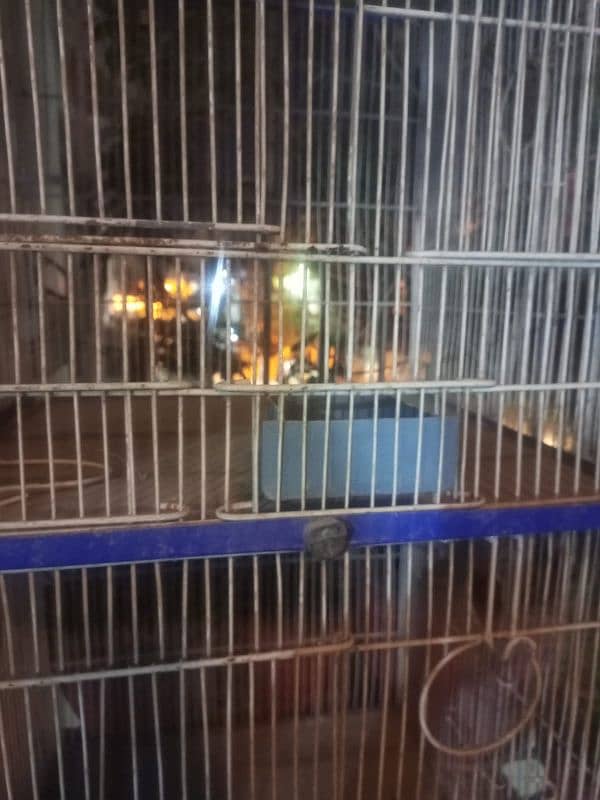 8 portion cage good condition 2