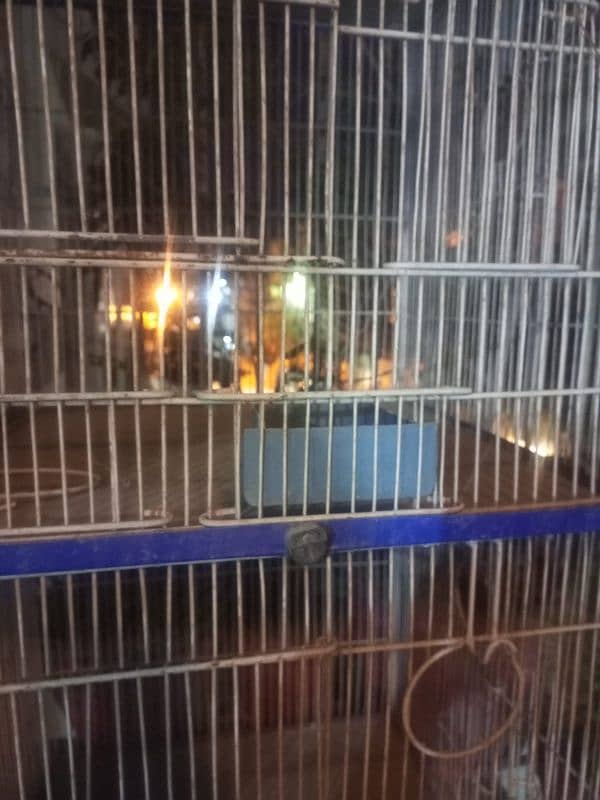 8 portion cage good condition 5