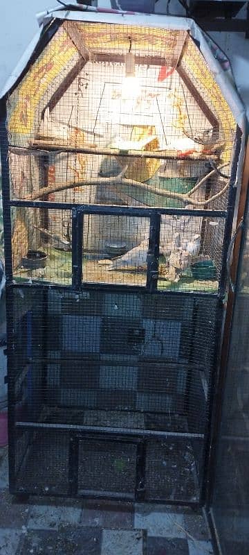 Pinjra Cage Birds 0