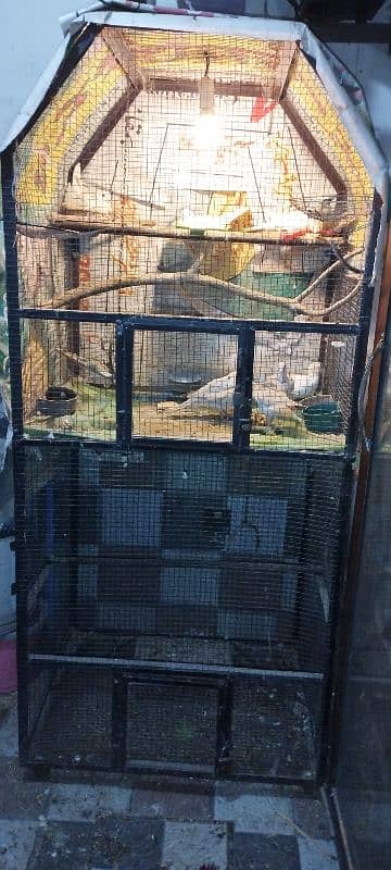 Pinjra Cage Birds 1