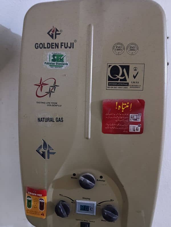 Golden Fuji geyser for sale 1