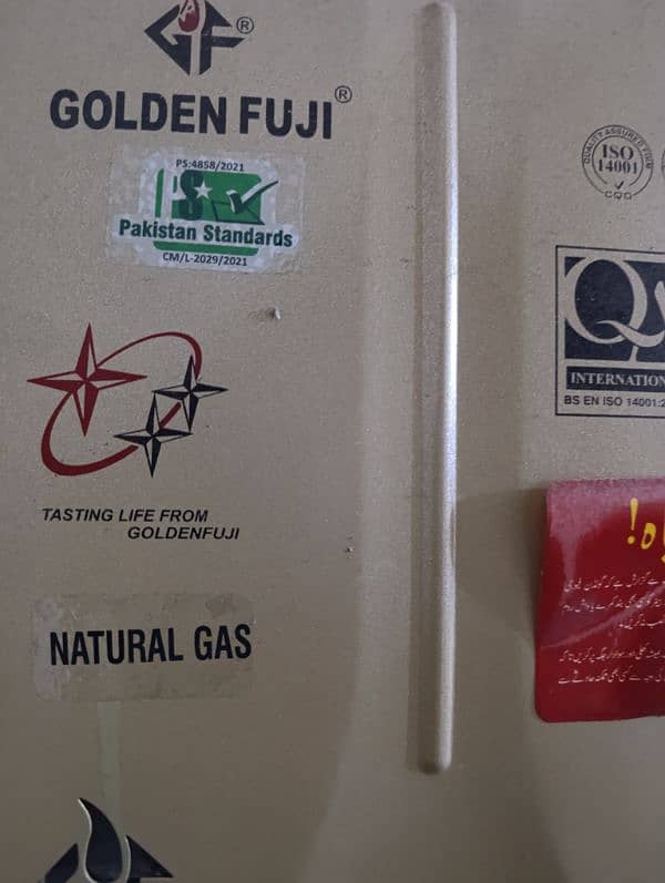 Golden Fuji geyser for sale 2