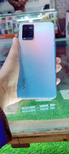 vivo