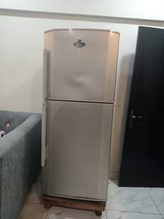 Jambo Size Refrigerator