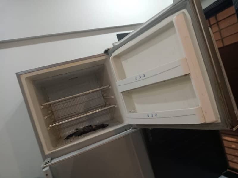 Jambo Size Refrigerator 3