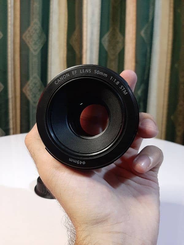 Canon 50mm 1.8 STM Lens 1