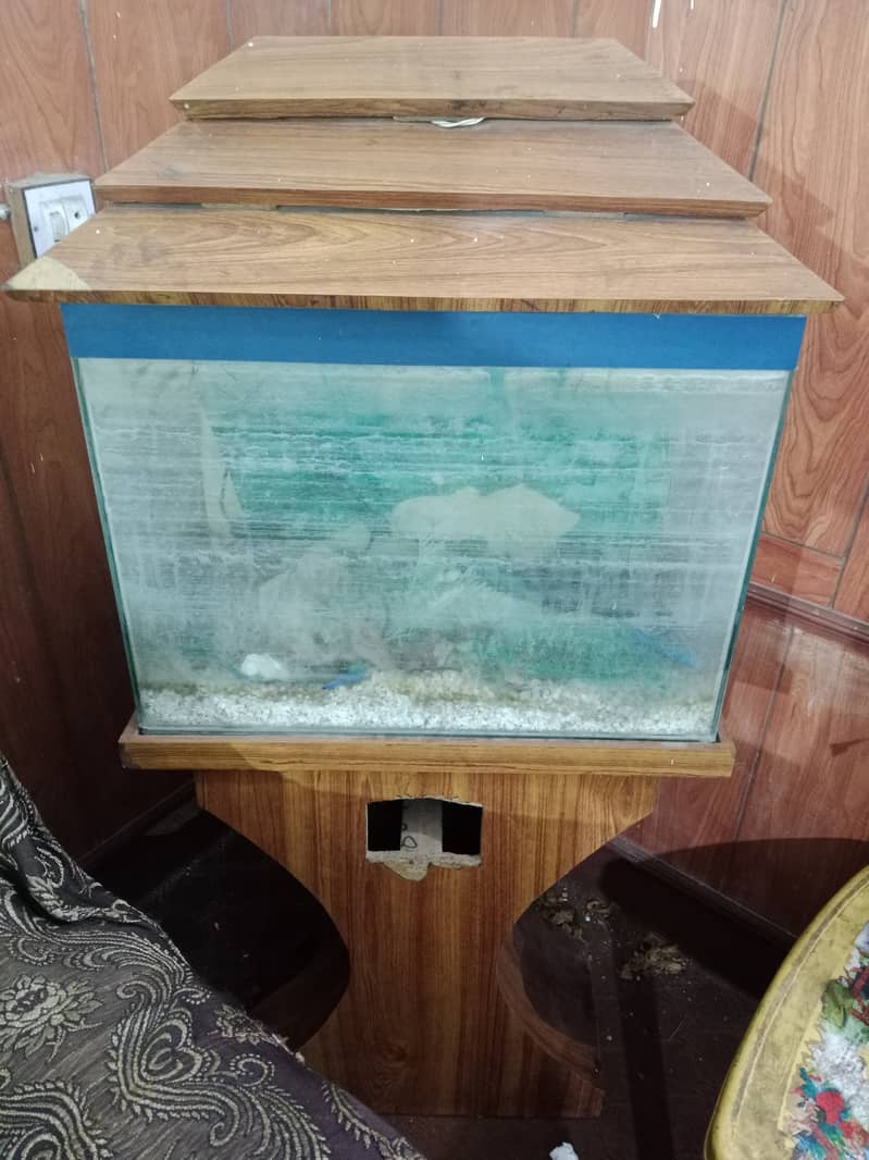 Fish Tank for Sale 1