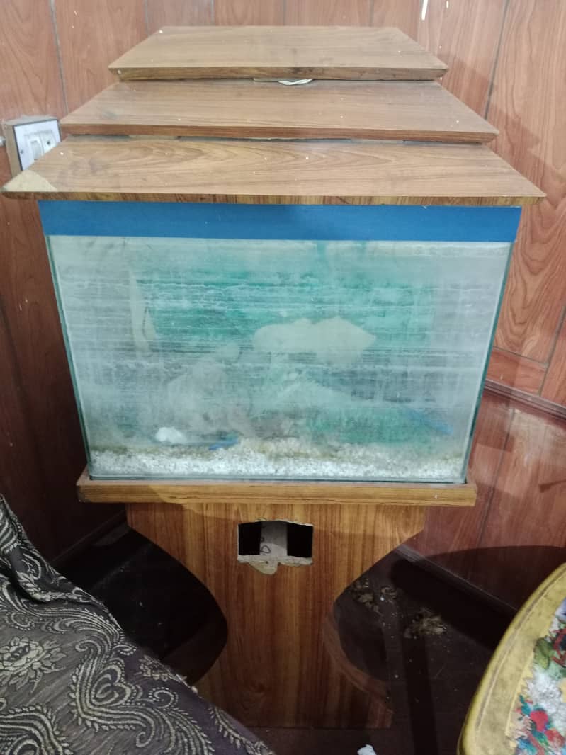 Fish Tank for Sale 2