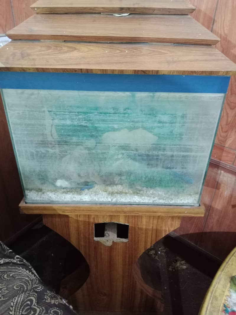 Fish Tank for Sale 3