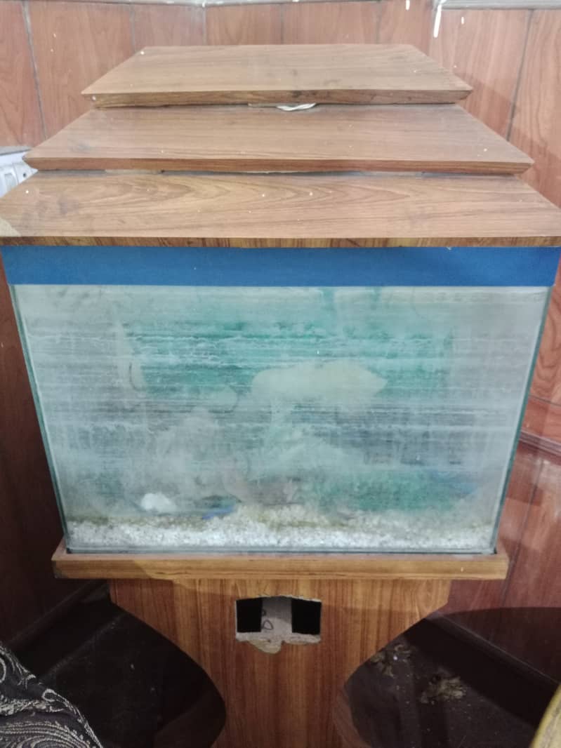 Fish Tank for Sale 4