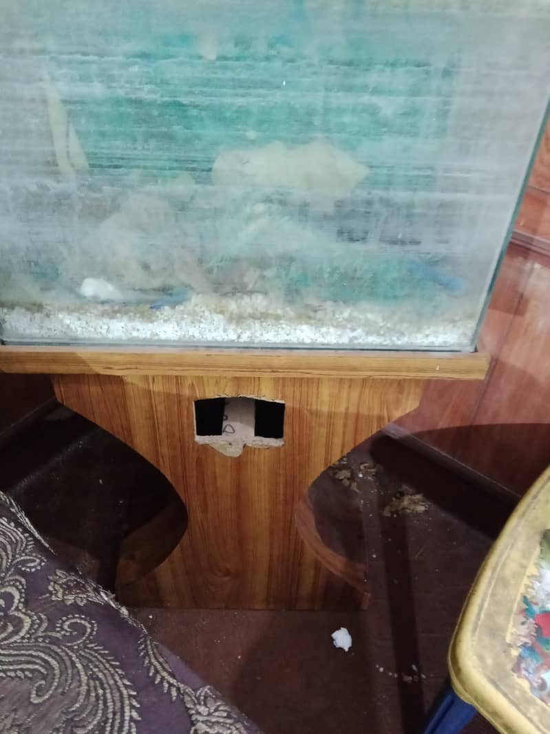 Fish Tank for Sale 5