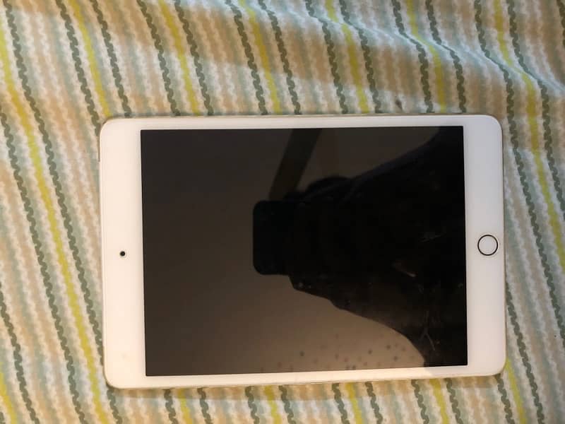 Ipad Mini 4 128 GB 0