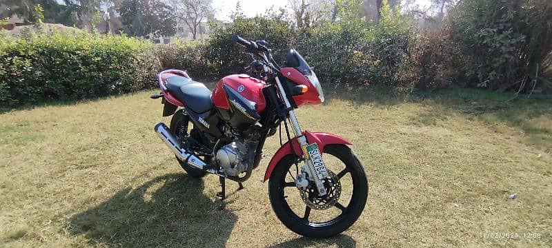 Yamaha YBR 125 Available For Sale 10