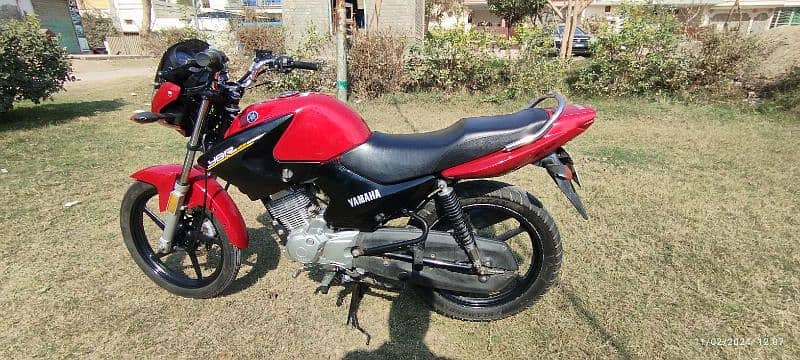 Yamaha YBR 125 Available For Sale 11