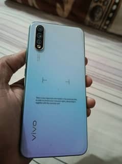 vivo