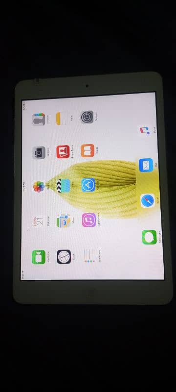 iPad 1 0