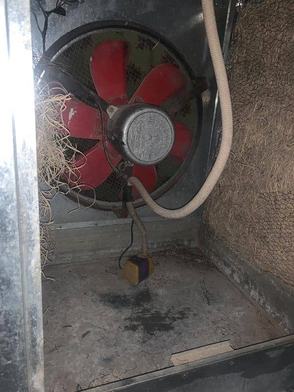 Fan used hai 5