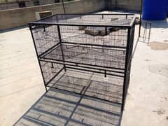 cage for love bird, cage for exotic bird , Pinjra