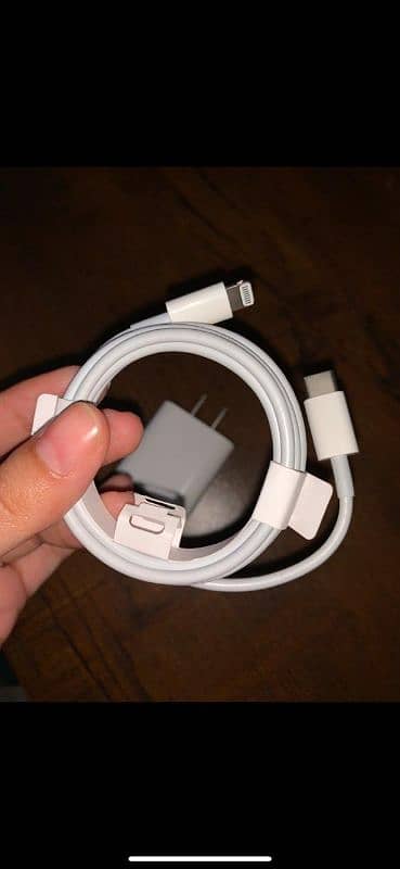 iphone charger 1