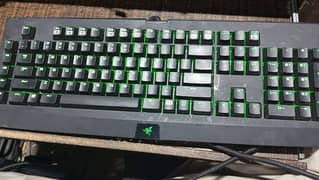 Razer