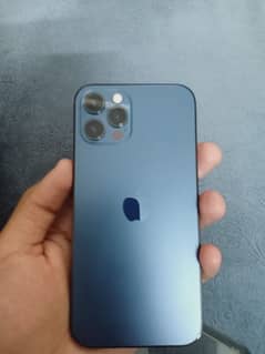 iphone 12 pro pta approved