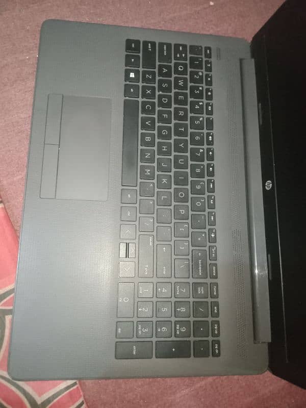 laptop, Hp Notebook 255 G7 1