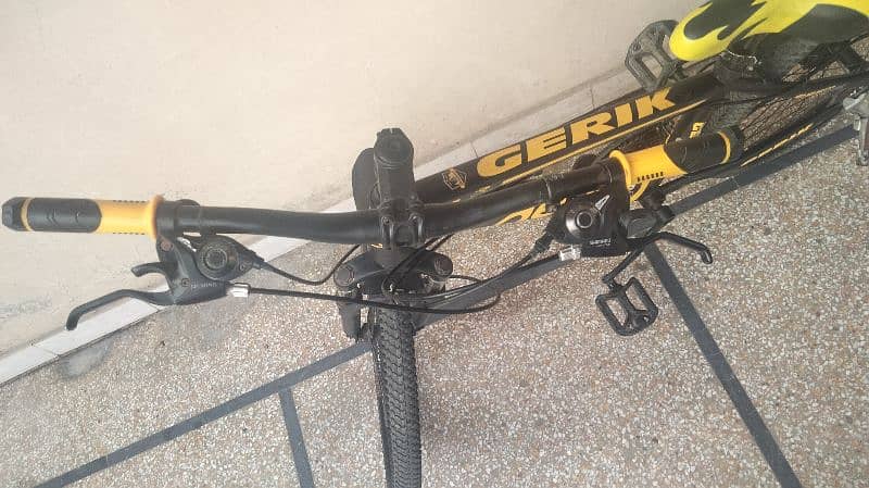 Gerik 24 inch Bicycle 1