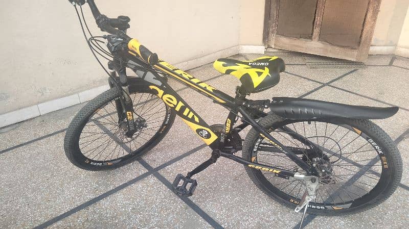 Gerik 24 inch Bicycle 2