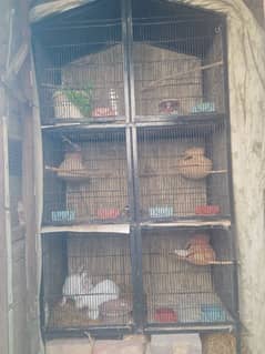 cage for sale 03123859981